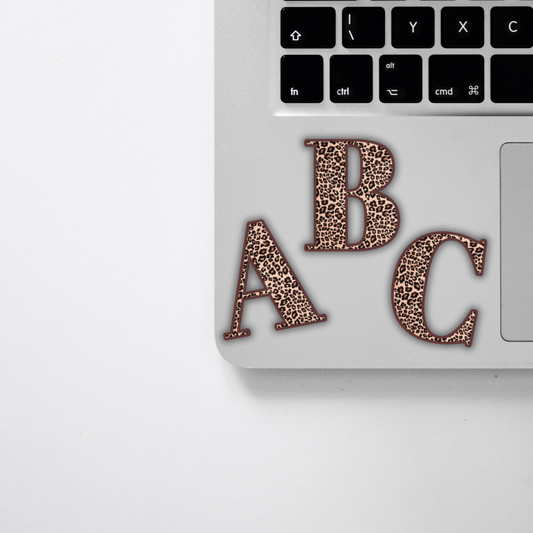ABC LEO BRAUN